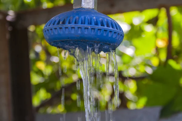 Summer garden shower close-up — Stock Photo, Image