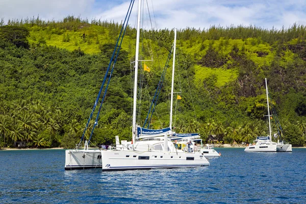 Polinésia Francesa Papeete Dezembro 2017 Vários Catamarãs Uma Calma Lagoa — Fotografia de Stock