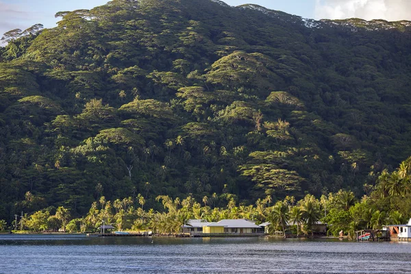 フランス領ポリネシアのソシエテ諸島の風下のグループの太平洋の海岸線の島モーレア島の山の熱帯雨林 — ストック写真