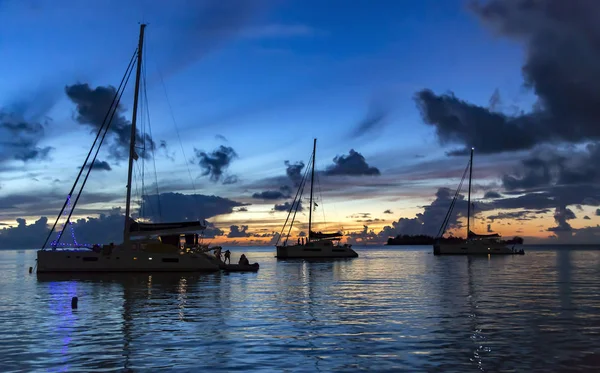 Grupo Catamaranes Navegó Isla Bora Bora Atardecer Para Celebrar Año — Foto de Stock