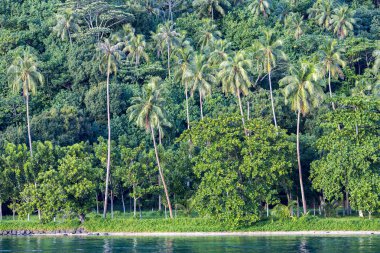 Fransız Polinezyası Adaları'nın el değmemiş vahşi ve güzel doğası