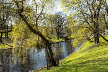Riga Şehir kanal erken baharda Bastion hill park Bastejkalns üzerinden akar. Letonya