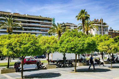 İspanya, Barcelona, 05 Mayıs 2017 - Barselona, İspanya, İspanya Merkez yaya sokaklarda dekoratif portakal ağacı