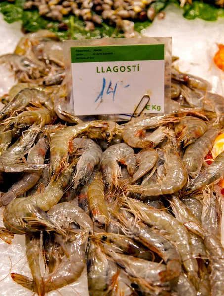 Fresh king tiger prawns lie on the ice in the Boqueria market, Barcelona, Spain