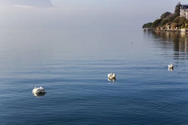 Nascer Sol Acima Lago Leman Lago Genebra Com Névoa Matinal — Fotografia de Stock