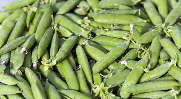 Fresh Pods Sweet Green Peas Traditional Local Market — Stock Photo, Image