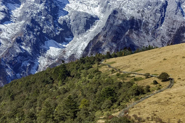 Красивая Панорама Снежной Горы Нефритового Дракона Желтыми Лугами Лесом Ломбард — стоковое фото