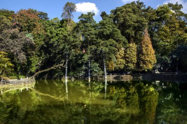 Çin ulusal parkında, ormanın içindeki gölün ayna yüzeyi.