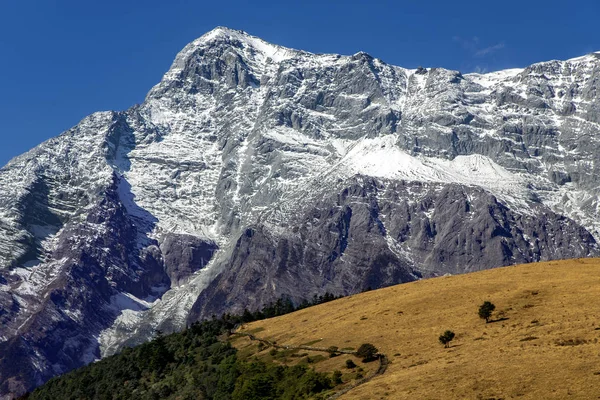 Piękna Panorama Snowcapped Jade Dragon Snow Mountain Żółtymi Łąkami Lasem — Zdjęcie stockowe
