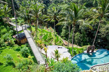 Endonezya, Bali 'de palmiye ağaçları arasında tahta patikaları olan tropik bir park