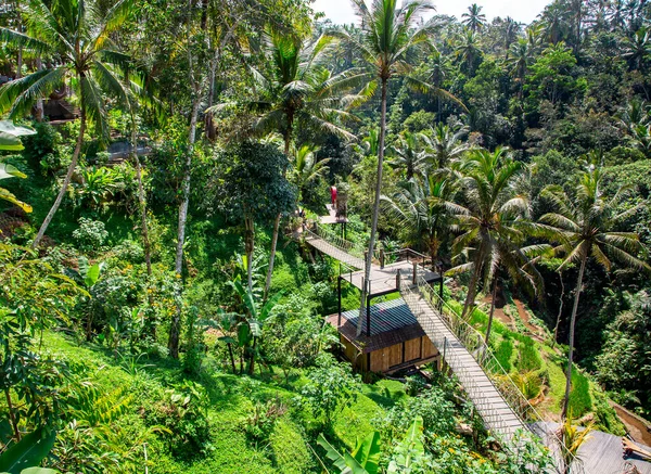 Tropikalny Park Drewnianymi Ścieżkami Wśród Palm Bali Indonezja — Zdjęcie stockowe
