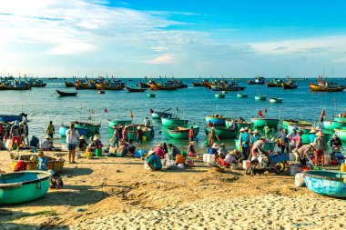 Vietnam, Mui Ne, Kasım 2016: Vietnam 'ın Mui Ne kentindeki balıkçı köyünde sabah yakalayan sepet şeklinde pek çok geleneksel Vietnam gemisi.