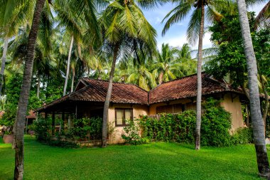 Vietnam, Mui ne, Kasım 2016 - Tropik bir bahçedeki Seahorse Resort & Spa Oteli bölgesinde Bungalow. Mui Ne. Vietnam