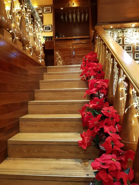 Wooden Staircase Christmas Decorations Red Poinsettia Flowers Pots — Stock Photo, Image