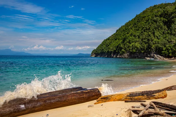 Riesiger Baumstamm Strand Der Pantai Basis Sentani Jayapura Neuguinea — Stockfoto