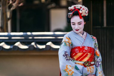JAPAN, KYOTO, APRIL, 05, 2017 - Kyoto Japonya 'da yeşil bir çitin arka planına karşı eski moda Gion kasabasında Maiko kimonolu güzel bir kadının portresi.