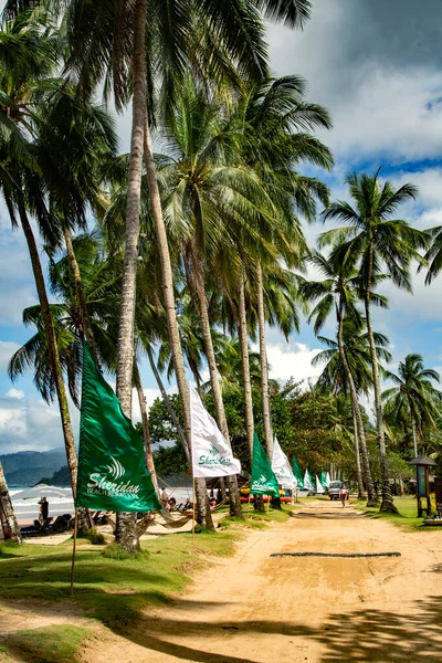 Philippinen Nido Dezember 2019 Sandstraße Mit Hohen Palmen Ufer Des — Stockfoto