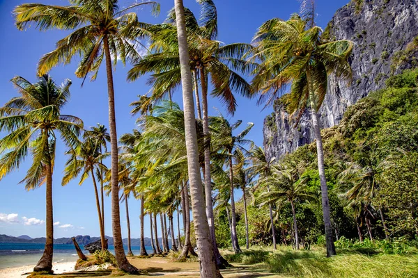 ชายหาดท สวยงามในป าบนเกาะเล อนห นคาสท ในมหาสม ทรอ นเด ใกล บเอล — ภาพถ่ายสต็อก