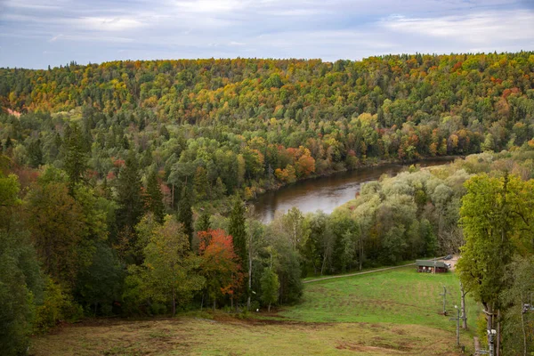 Podzimní Lesy Údolí Řeky Gauja Obci Sigulda Lotyšsko — Stock fotografie