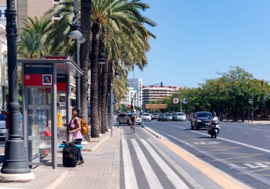 İspanya, VALENCIA, SEPTEMBER, 15, 2025: Valencia, İspanya 'da palmiye ağaçları ve adanmış bisiklet yollarıyla dolu yoğun caddeler
