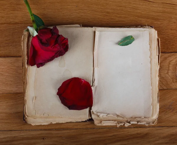 空白のページがテキストとヴィンテージの木製のテーブルで乾燥したローズの古い本を開く — ストック写真