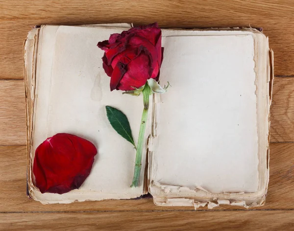 Ανοίξτε Παλιό Βιβλίο Λευκές Σελίδες Για Κείμενο Και Ξηρό Τριαντάφυλλο — Φωτογραφία Αρχείου