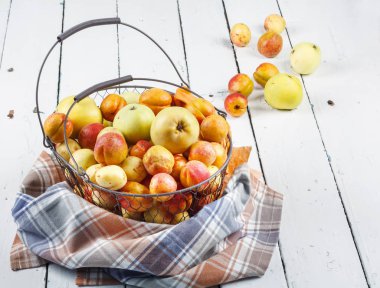 Olgun taze kayısılar ve elmalar dokunmuş metal sepetin içinde odasındaki ahşap masanın üzerinde.