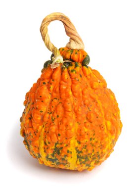 Kabak izole beyaz zemin üzerinde. Taze, portakal ve dekoratif