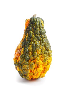 Kabak izole beyaz zemin üzerinde. Taze, portakal ve dekoratif