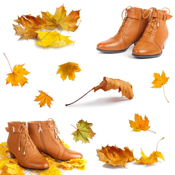 Pair Brown Female Boots Bright Autumn Leaves Isolated White Background — Stock Photo, Image