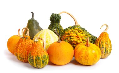 Büyük Olgun turuncu dekoratif balkabağı beyaz izole arka planda yığını