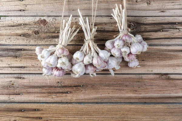 Bundels Van Verse Knoflook Gedroogd Vintage Houten Muur Kopiëren Van — Stockfoto