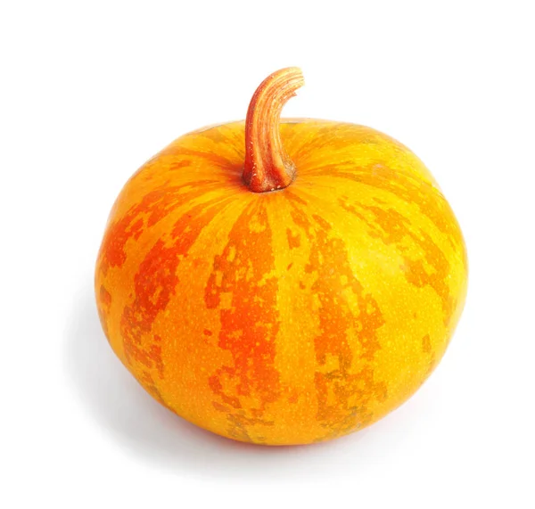 Zucca Sfondo Bianco Isolato Fresco Arancione Decorativo — Foto Stock