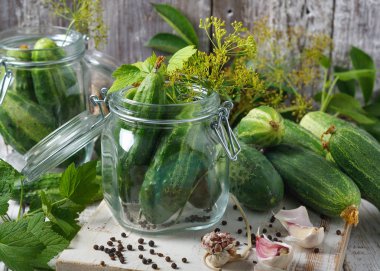 Hazırlık üzümü, dereotu ve taze sarımsak yaprakları ile marine edilmiş salatalık turşusu