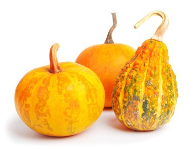 Üç kabak izole beyaz zemin üzerinde. Taze, portakal ve dekoratif