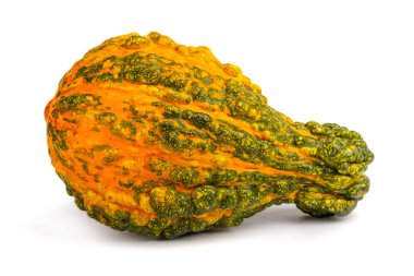 Kabak izole beyaz zemin üzerinde. Taze, portakal ve dekoratif