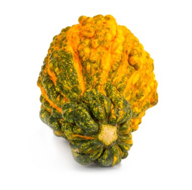 Kabak izole beyaz zemin üzerinde. Taze, portakal ve dekoratif