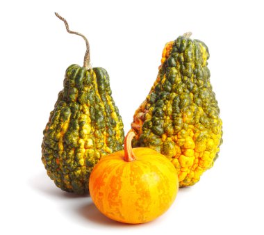 Üç kabak izole beyaz zemin üzerinde. Taze, portakal ve dekoratif