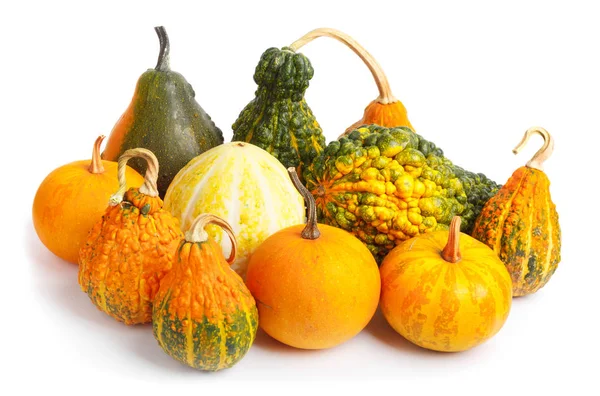 Gran Pila Calabazas Decorativas Naranjas Maduras Sobre Fondo Blanco Aislado —  Fotos de Stock