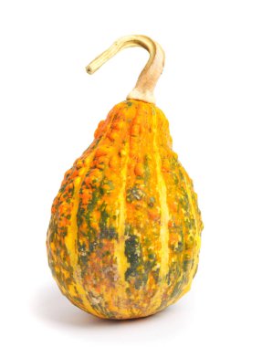 Kabak izole beyaz zemin üzerinde. Taze, portakal ve dekoratif