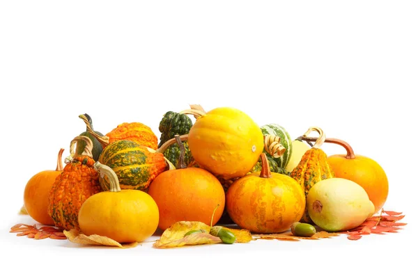 Gran Pila Calabazas Decorativas Naranjas Maduras Con Follaje Sobre Fondo — Foto de Stock