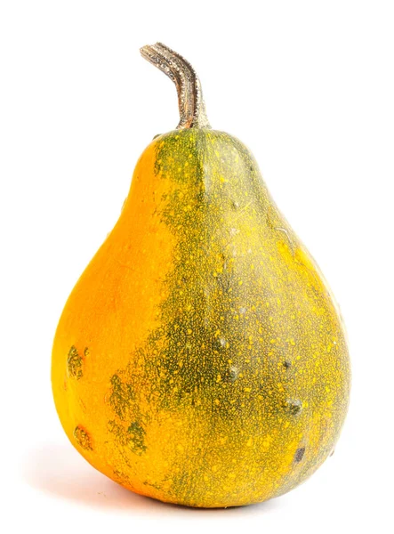 Zucca Sfondo Bianco Isolato Fresco Arancione Decorativo — Foto Stock