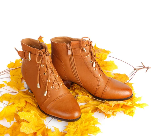 Pair Brown Female Boots Bright Autumn Leaves Isolated White Background — Stock Photo, Image