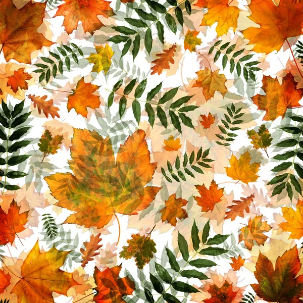 Barevné Podzimní Listí Chaotickém Pořadí Abstraktní Pozadí Top View Plochou — Stock fotografie