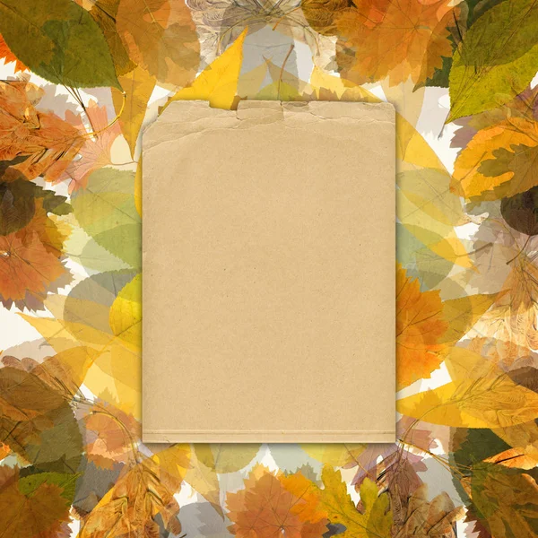 Colorful autumn foliage in chaotic order on an abstract background with vintage paper photo frame. Top View Flat Lay Group Objects