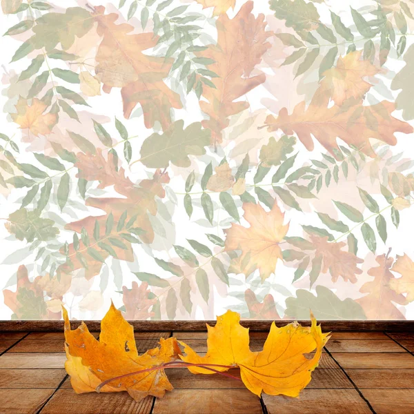 Interior Old Wooden House Walls Autumn Leaves — Stock Photo, Image