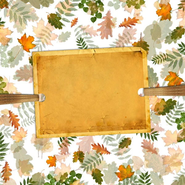 五颜六色的秋天叶子以混乱顺序在一个抽象背景与复古纸相片框架 顶部视图平面放置组对象 — 图库照片