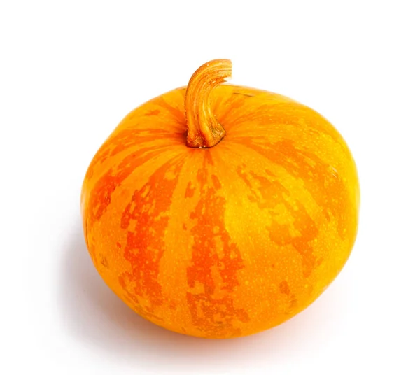 Pompoen Geïsoleerde Witte Achtergrond Fris Oranje Decoratieve — Stockfoto