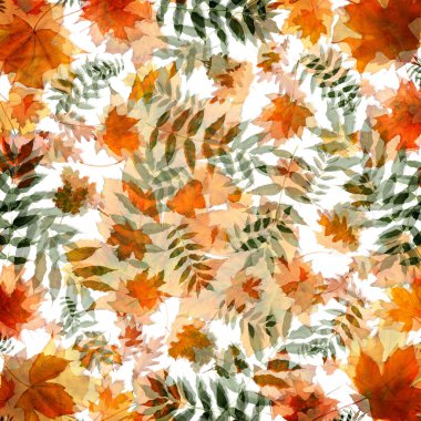 Kaotik sipariş bir arka plan üzerinde renkli sonbahar yaprakları. En iyi görünüm düz Lay Grup nesneleri