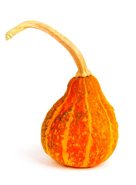 Calabaza Sobre Fondo Blanco Aislado Fresco Naranja Decorativo — Foto de Stock